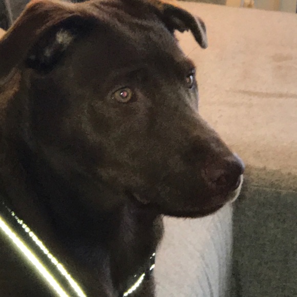 Meet your Posher, Diane - Picture 3 of 4